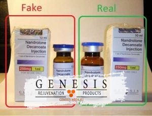 Genesis Fakes